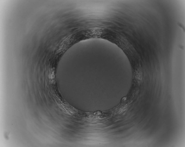 X0000101970818200808011128