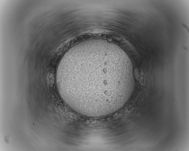 X0000101970821200808011129
