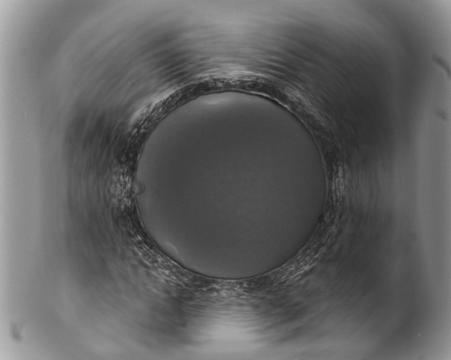X0000101970822200808011129