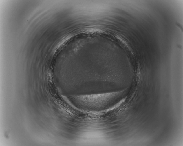 X0000101970823200808011129