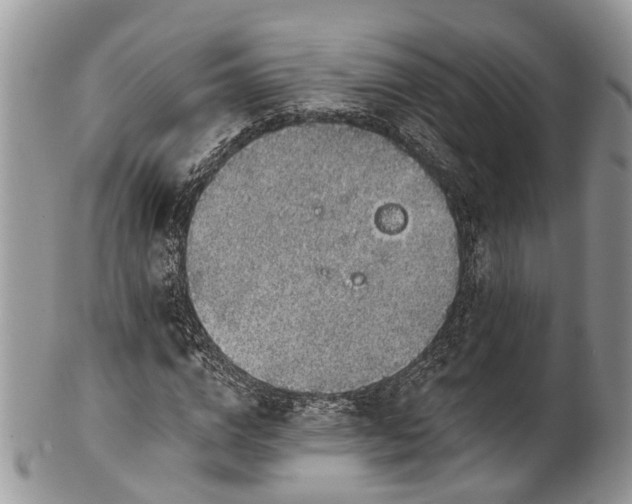 X0000101970824200808011129