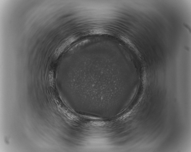 X0000101970825200808011129