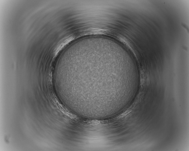 X0000101970827200808011129