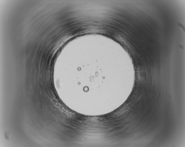X0000101970828200808011129