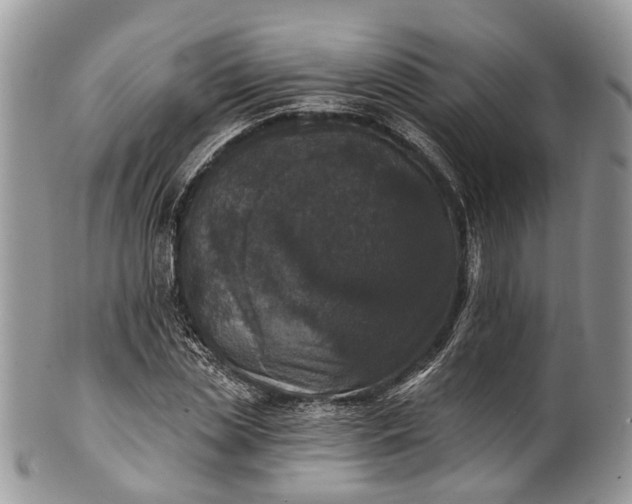 X0000101970829200808011129