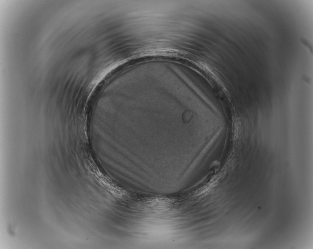 X0000101970830200808011129
