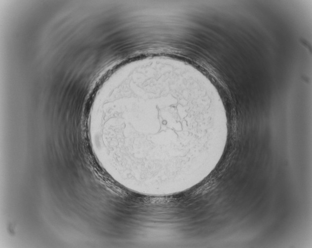 X0000101970832200808011129