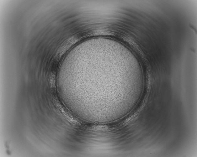 X0000101970833200808011129