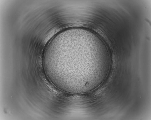 X0000101970834200808011129