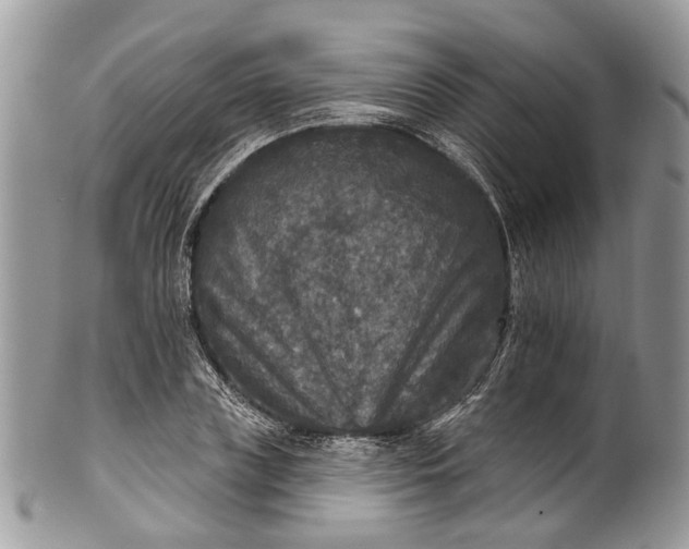 X0000101970835200808011129
