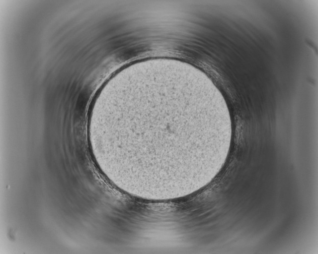 X0000101970836200808011129