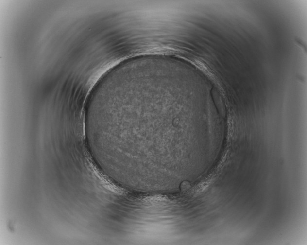 X0000101970838200808011129