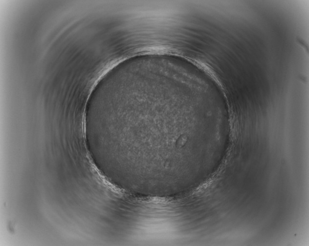 X0000101970839200808011129