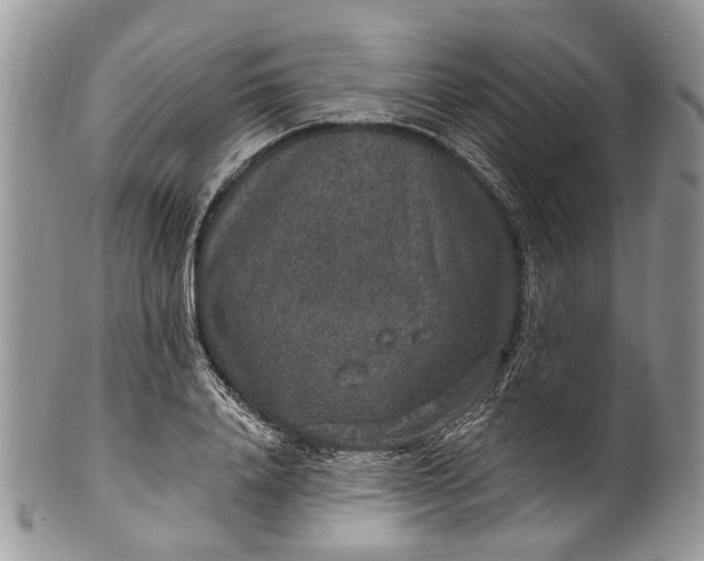 X0000101970840200808011129