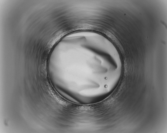 X0000101970842200808011129