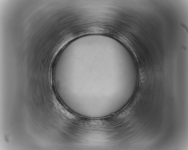 X0000101970843200808011129