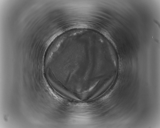 X0000101970845200808011129