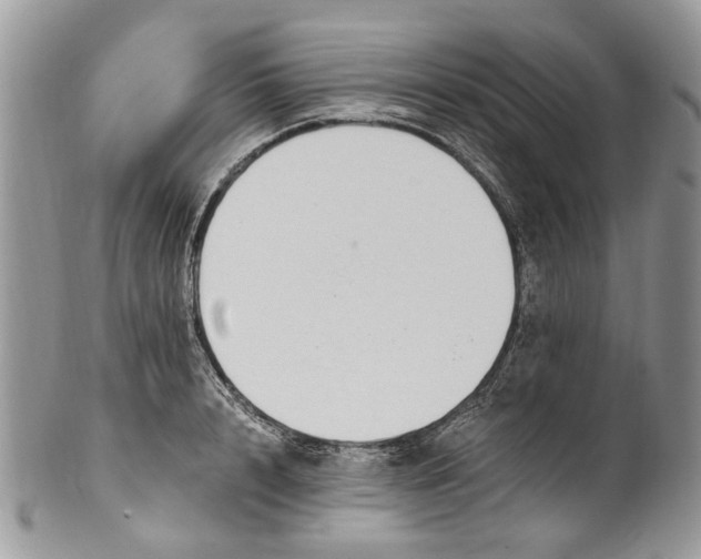 X0000101970848200808011129