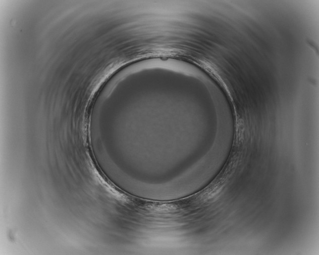 X0000101970851200808011129