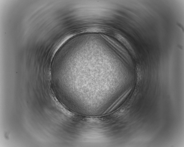 X0000101970852200808011129
