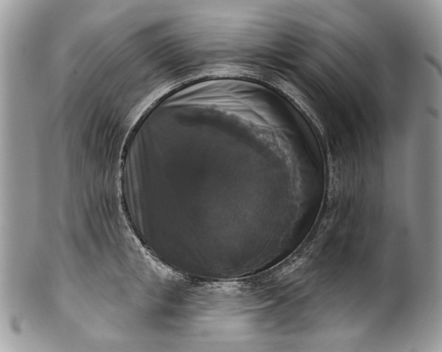 X0000101970853200808011129