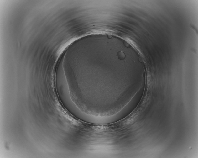 X0000101970854200808011129