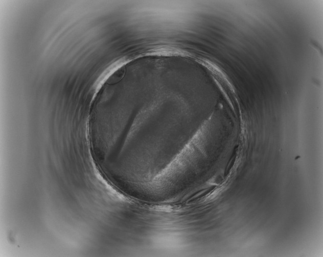 X0000101970855200808011129