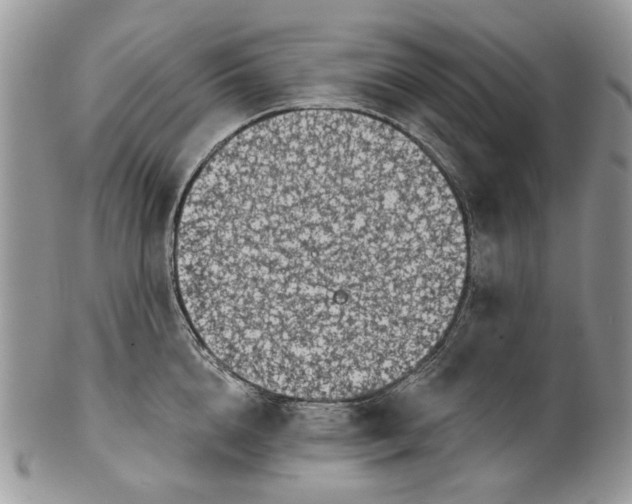 X0000101970856200808011129