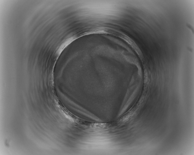 X0000101970858200808011129
