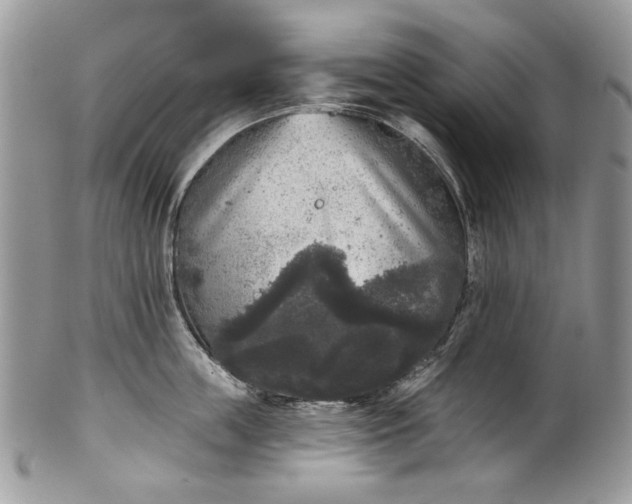 X0000101970859200808011129