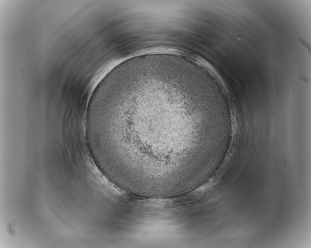 X0000101970860200808011129