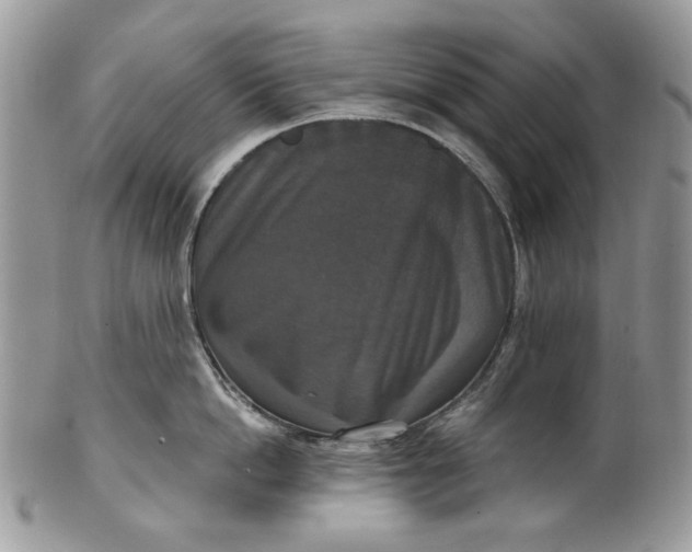 X0000101970862200808011129