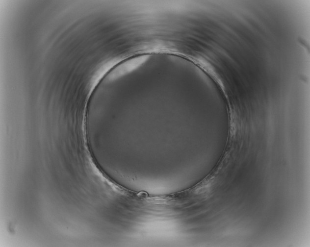 X0000101970863200808011129