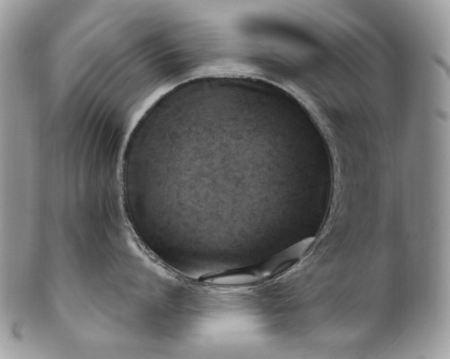 X0000101970864200808011129