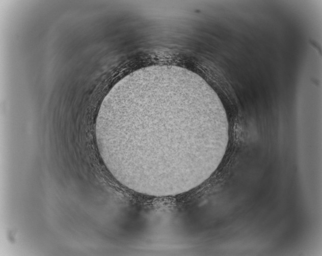X0000101970865200808011128