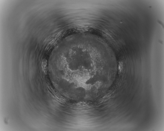 X0000101970867200808011128