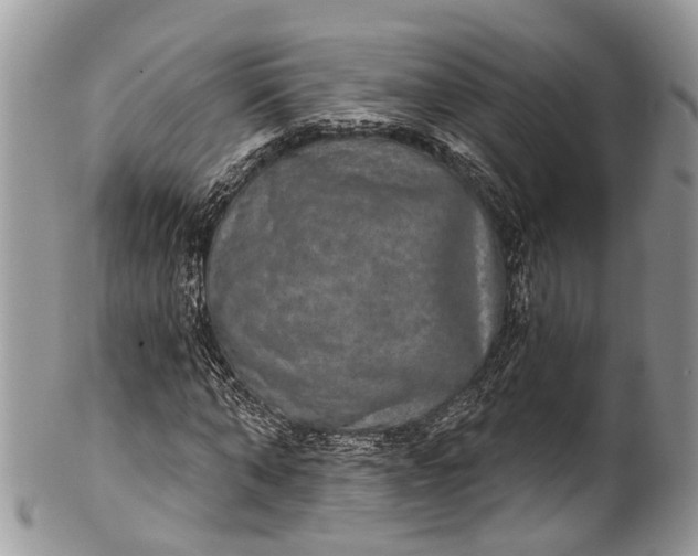 X0000101970870200808011128