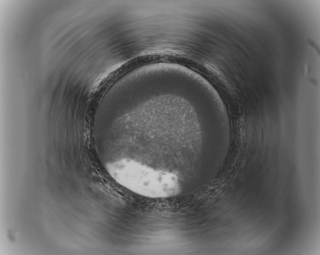 X0000101970872200808011128