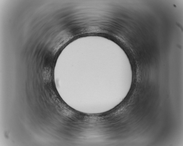X0000101970873200808011128