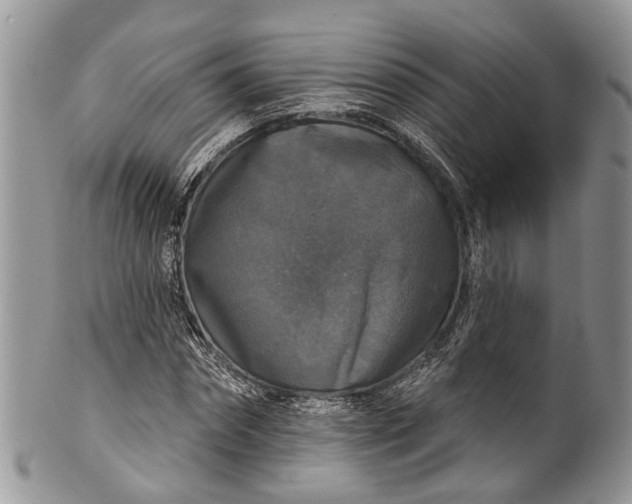 X0000101970874200808011128
