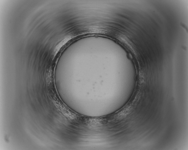 X0000101970875200808011128