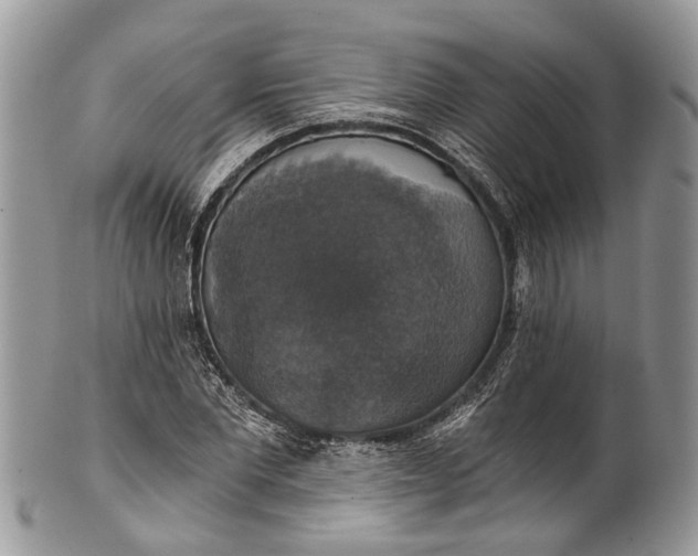 X0000101970877200808011128