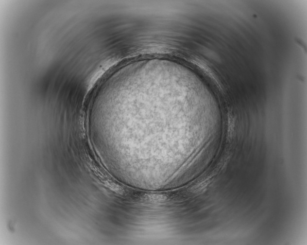 X0000101970878200808011128