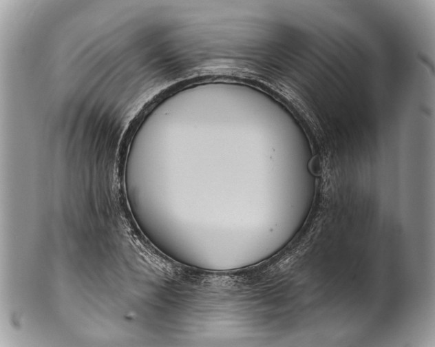 X0000101970880200808011128