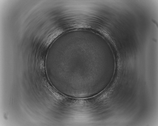 X0000101970881200808011128