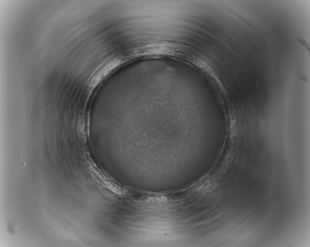 X0000101970882200808011128
