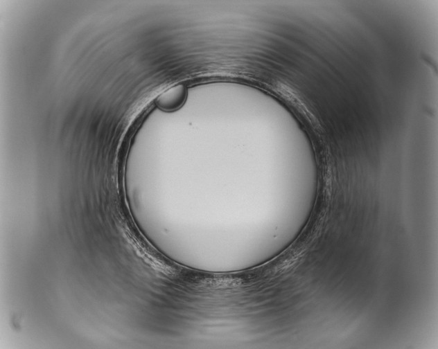 X0000101970884200808011128