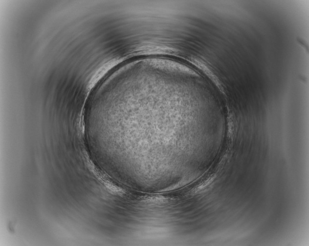 X0000101970885200808011128