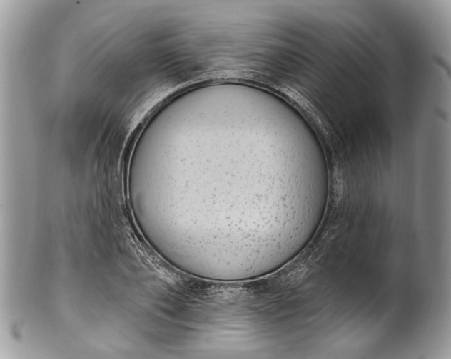 X0000101970886200808011128