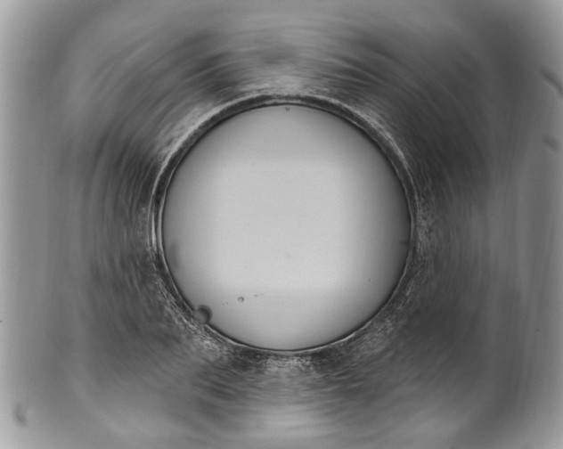 X0000101970887200808011128